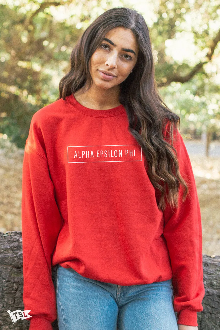 Alpha Epsilon Phi Blocked Crewneck