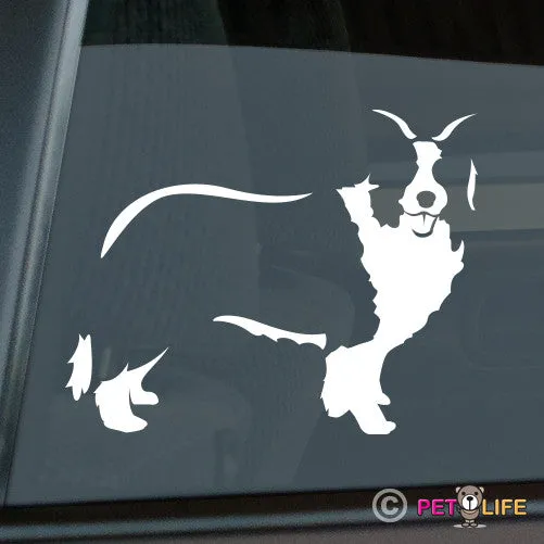 Border Collie  Sticker