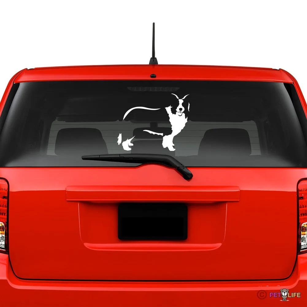 Border Collie  Sticker