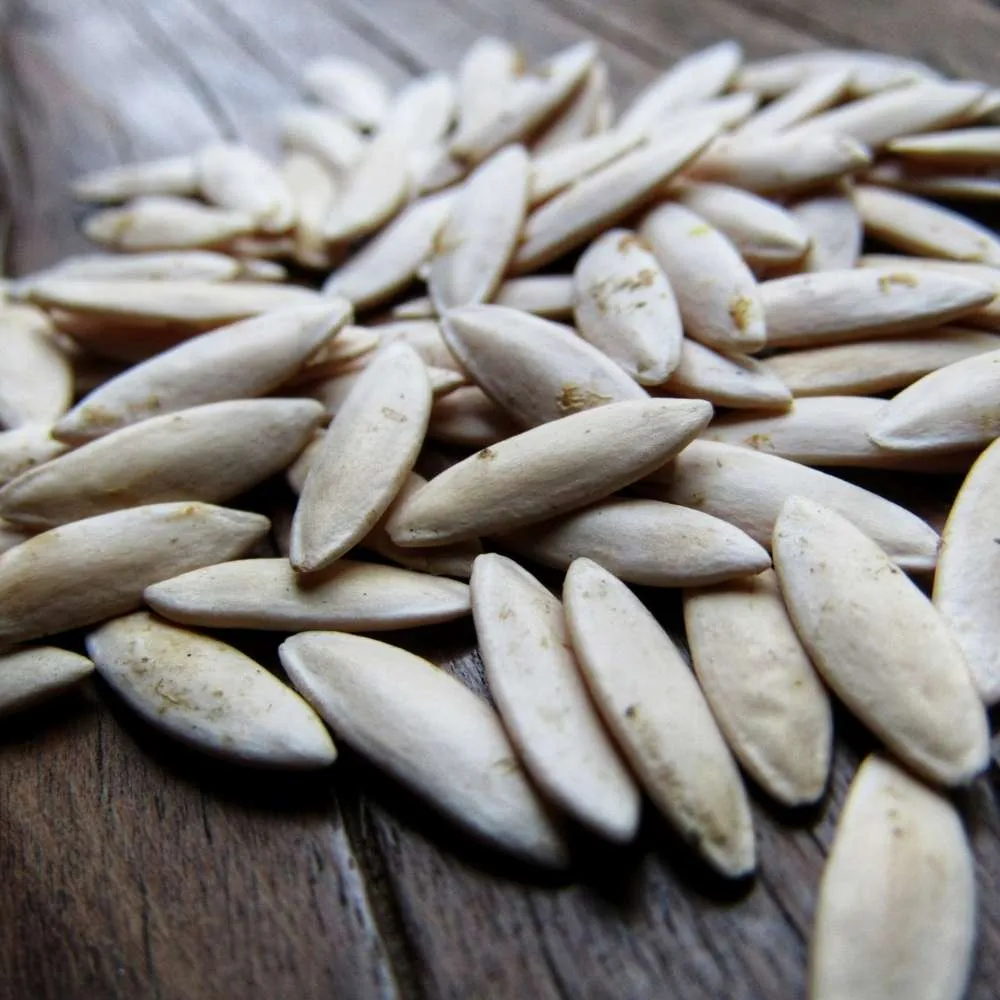 Cucumber Seeds