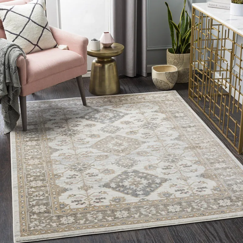 Louo Updated Traditional Area Rug